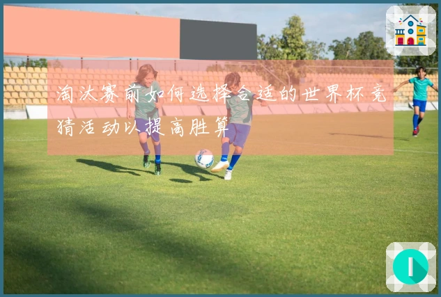 淘汰赛前如何选择合适的世界杯竞猜活动以提高胜算