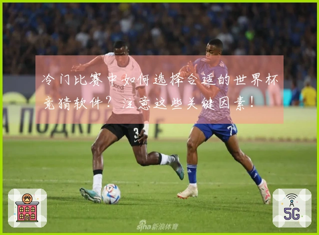 冷门比赛中如何选择合适的世界杯竞猜软件？注意这些关键因素！